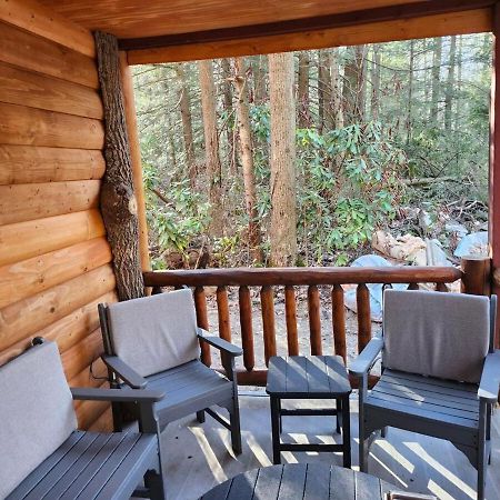 Pet Friendly Creekside Cabin Kooser St Park Somerset Exterior foto