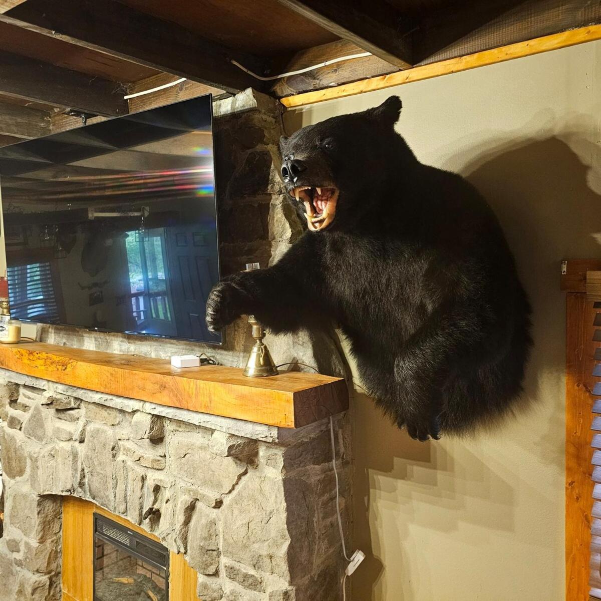 Pet Friendly Creekside Cabin Kooser St Park Somerset Exterior foto